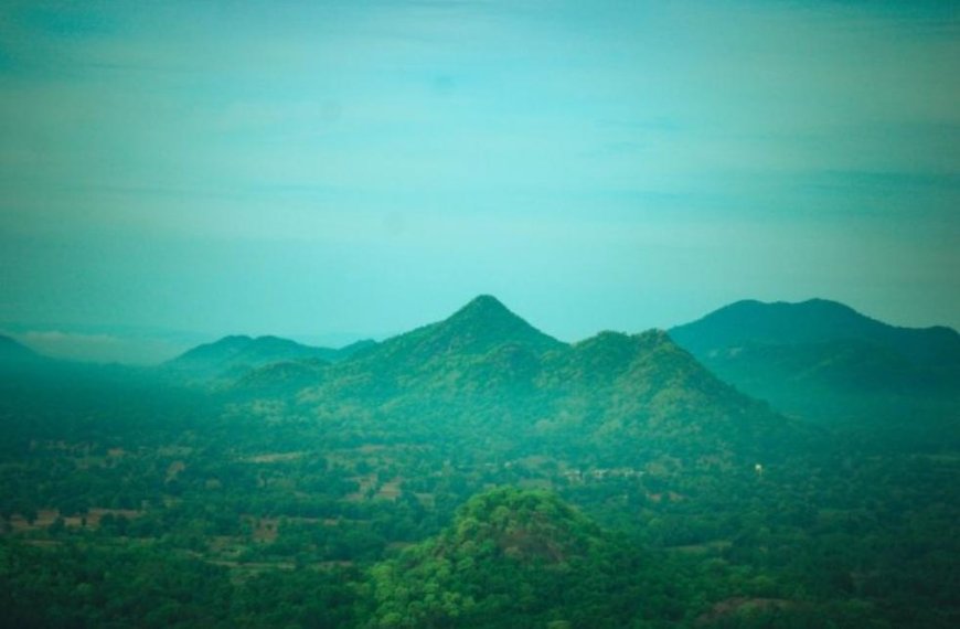 ।। ଗନ୍ଧମାର୍ଦ୍ଧନ ପାର୍ବତ୍ୟାଞ୍ଚଳକୁ ମିଳିଲା ଓଡ଼ିଶାର ତୃତୀୟ ଜୈବ ବିବିଧତା ଐତିହ୍ୟସ୍ଥଳୀର ମାନ୍ୟତା ।।