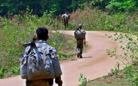 ।। ମାଲକାନଗିରି:ବିଜାପୁରରେ ଏନ୍‌କାଉଣ୍ଟର ।।