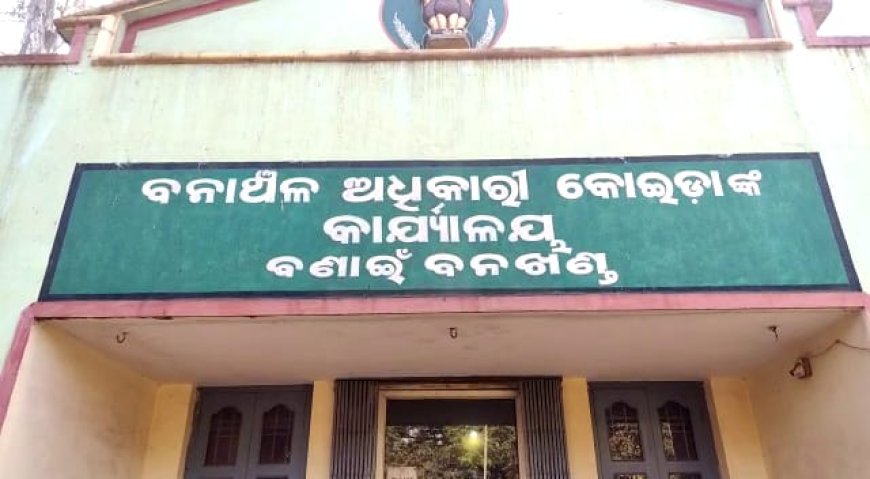 ।। ଛୁଆ ହାତୀର ମୃତ (ଜଗିଛି ମାଆ) ।।
