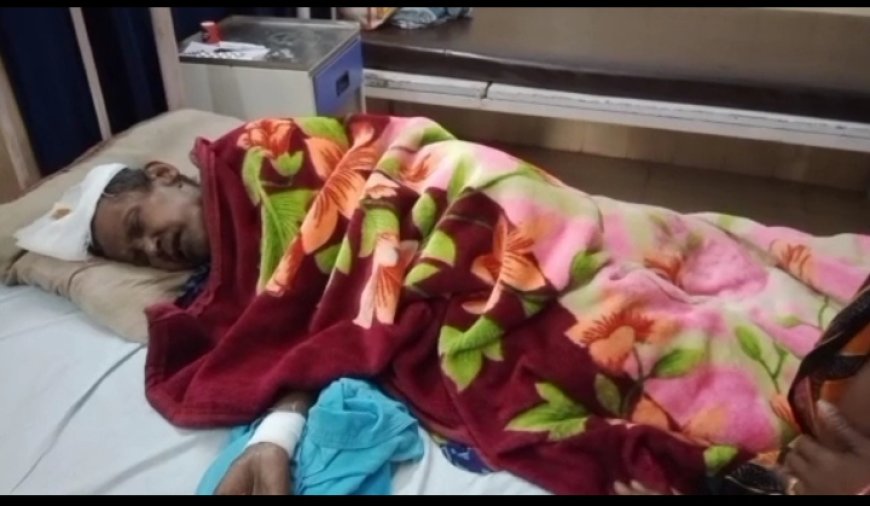।। ଦୁର୍ଘଟଣାରେ ବୃଦ୍ଧା ଆହାତ।।