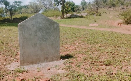 ।। ମନରେଗା ଯୋଜନାରେ ମହା ଘୋଟଲା:ରାସ୍ତାକାମ ହେବା ପୂର୍ବରୁ ଟଙ୍କା ଆତ୍ମସାତ ଉଦ୍ୟମ ।।