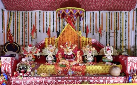 ।। ବାଲିଗୁଡାର ଐତିହାସିକ ଠାକୁରାଣୀ ଯାତ୍ରାର ବିଶ୍ରାମ ଦିବସ: କଟକର ନବରଙ୍ଗ ସଙ୍ଗୀତରେ ଝୁମିଲେ ଦର୍ଶକ ଓ ଭକ୍ତ ।।