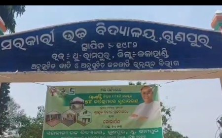 ।। ୫ଟି ସ୍କୁଲ ନାଁରେ ଠିକାଦାର ଓ ସରକାରୀ ବାବୁ ଭଙ୍ଗା ଘରକୁ କଲେ ସବୁଜ ରଙ୍ଗ ।।