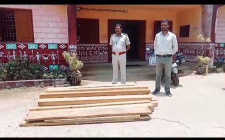 ।। ଚରା କାଠ ପଟା ସହ ସାଇକେଲ ଜବତ , କାଠ ମାଫିଆ ଫେରାର ।।