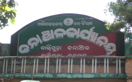 ।। ବାଲିଗୁଡ଼ାରେ ବାଘ ଆତଙ୍କ ଗୁଜବ ।।