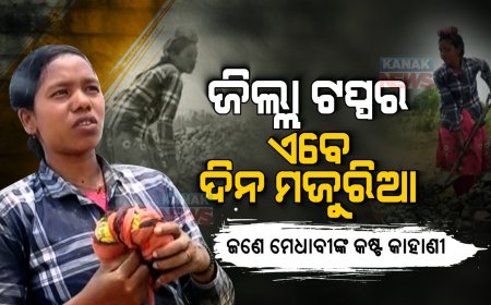 ।। ଜିଲ୍ଲା ଟପ୍ପର ଏବେ ଦିନ ମଜୁରିଆ : ଆର୍ଥିକ ଅନଟନ ପାଇଁ ଖର୍ଚ୍ଚ ମେଣ୍ଟାଇବାକୁ କାମ କରୁଛନ୍ତି ବଣ୍ଡା ଜନଜାତିର ଝିଅ ।।