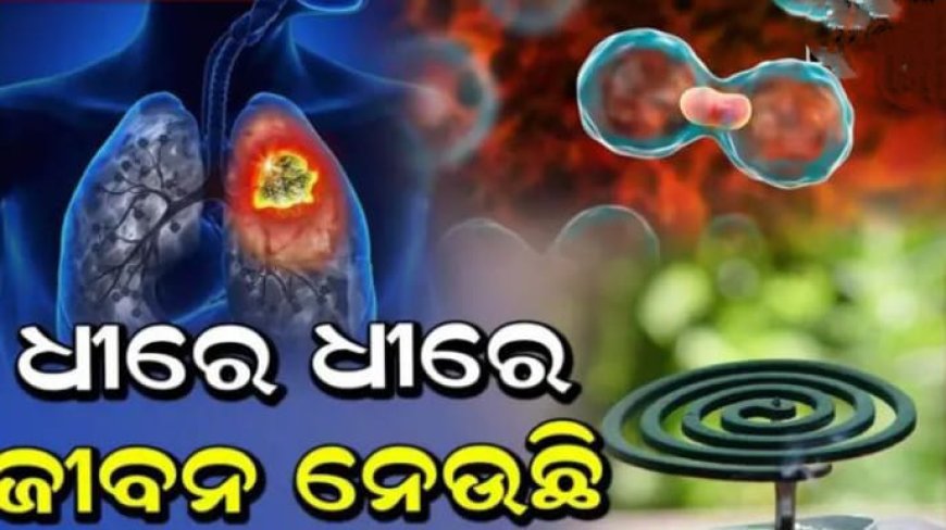 ସାବଧାନ! ରୁମରେ ମଶା ଧୂପ ଜାଳିବା ୧୦୦ ଟି ସିଗାରେଟ୍ ଟାଣିବା ସହ ସମାନ. ଫୁସଫୁସ କର୍କଟ ଠାରୁ ଅନେକ ରୋଗକୁ କରୁଛି ଆମନ୍ତ୍ରଣ ।