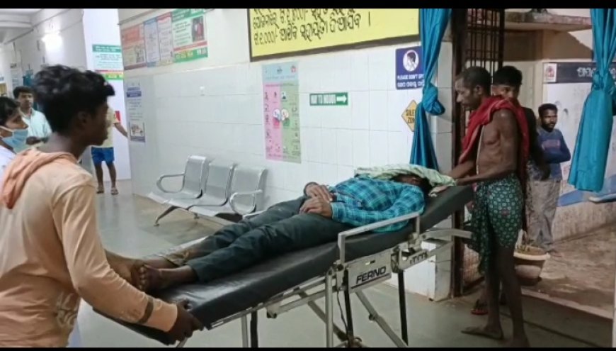 ।। ଟ୍ରାକ୍ଟର ପଛରେ ପିଟି ଦୁଇ ମୃତ୍ୟୁ :ବୈପାରିଗୁାଡ଼ା।।