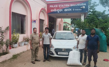 ।। ଗଞ୍ଜେଇ ଚାଲାଣ ଅଭିଯୋଗରେ ୩ ଜଣ ଗିରଫ  ।।