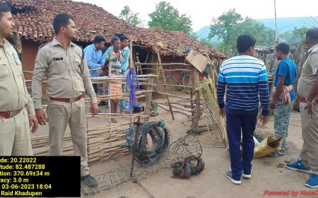 ବାଘ ଶିକାର ଅଭିଯୋଗରେ ପାଞ୍ଚ ଜଣ ଗିରଫ ହୋଇଥିବା ସୂଚନା ଦେଲେ ଖଡ଼ିଆଳ ଡିଏଫଓ