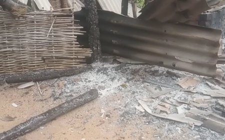 ।। ଜାଳି ଦେଲେ ବାବା ଙ୍କ ମଠ :କିଛି ଦୁର୍ବୃତ ।।