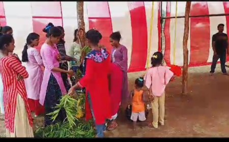 ।। ରଜ ପାଇଁ ସାଜସଜା ଚାଲିଛି ବିରିକୋଟ ଗ୍ରାମରେ ।।