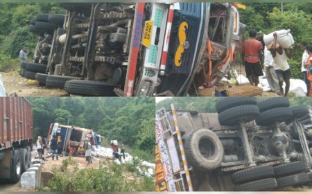 ।। ଭାରସାମ୍ୟ ହରାଇ ଓଲଟିଲା ଶାଳ ମଞ୍ଜି ବୋଝେଇ ଟ୍ରକ୍, ଅଳ୍ପକେ ବର୍ତ୍ତିଲେ ଡ୍ରାଇଭର ଓ ହେଲପର ।।