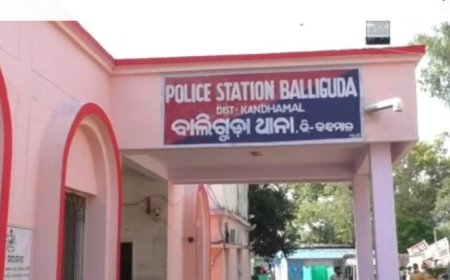 । । ଅନ୍ଧାରର ସୁଯୋଗ ନେଇ ବିଦ୍ୟାଳୟରୁ ଚୋରି ।।