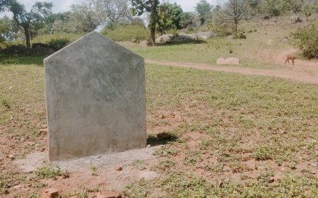 ଦୁର୍ନୀତି ଗ୍ରସ୍ତ ଜି ଆର ଏସ ଙ୍କ ବିରୋଧରେ କେବେ କାର୍ଯ୍ୟାନୁଷ୍ଠାନ :ଜାଣିଶୁଣି ଘଣ୍ଟ ଘୋଡାଉଛି କି ବ୍ଲକ ପ୍ରଶାସନ