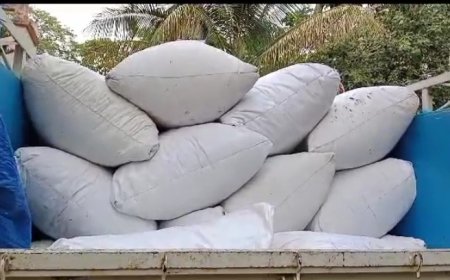 ।। ଗଞ୍ଜେଇ ବଝେଇ ଭ୍ୟାନ ସହ ୯ କୁଇଣ୍ଟାଲ୍ ରୁ ଉର୍ଦ୍ଧ ଗଞ୍ଜେଇ ଜବତ ଡ୍ରାଇଭର ଗିରଫ ।।