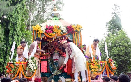 ।। ବାଲିଗୁଡାରେ ରଥଯାତ୍ରା ପାଳିତ : ୧୦ ହଜାରରୁ ଉର୍ଦ୍ଧ ଭକ୍ତ ଙ୍କ ସମାଗମ ।।