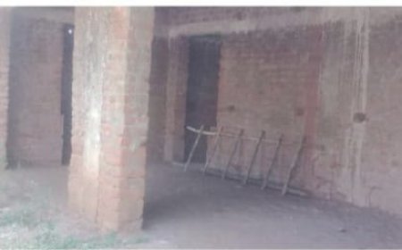 ଦୁଇଟି କୋଠରୀ କୁ ଦୁଇଟି ଶିକ୍ଷକ ରେ ଚାଲିଛି ପାଲୁଙ୍କିଆ ପ୍ରାଥମିକ ବିଦ୍ୟାଳୟ : ଗୃହ ନିର୍ମାଣ କାର୍ଯ୍ୟ ଅଧାପନ୍ତରିଆ