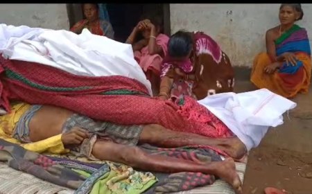 ।। ହାତୀ ଆକ୍ରମଣରେ ପୁଣି ଜଣେ ମୃତ ।।