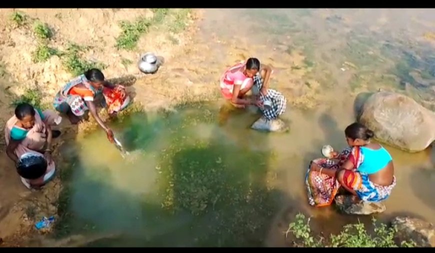 ।। ସରକାର ଦେଉଥିବା ବସୁଧା ଯୋଜନା ଗଲା କୁଆଡେ :ପାଣି ପାଇଁ ଡହଳ ବିକଳ ଗ୍ରାମବାସୀ।