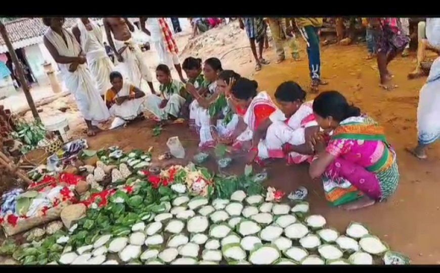 ।। ସାନ ବୋଲେନ ପାଳନ କଲେ ବିରିକୋଟ ବାସି ।।