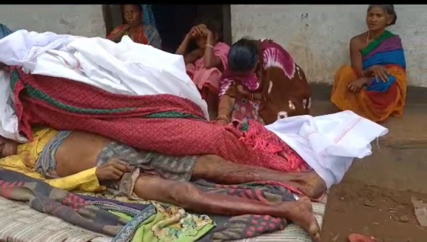।। ହାତୀ ଆକ୍ରମଣରେ ପୁଣି ଜଣେ ମୃତ ।।