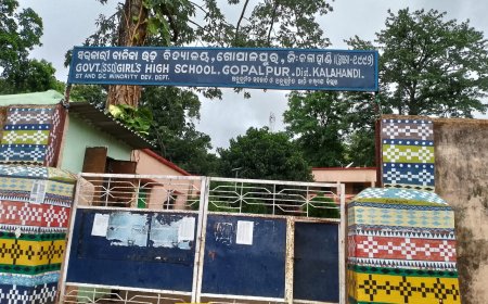 ସରକାରୀ ବାଳିକା ଉଚ୍ଚ ବିଦ୍ୟାଳୟ ଗୋପାଳପୁର ରେ ଶିକ୍ଷକ ଅଭାବ ସାଙ୍ଗକୁ ବିଭନ୍ନ ସମସ୍ୟା