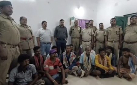 ୧୧ ଜଣ ବାଘ ଶିକାରୀ ଗିରଫ : ବାଘ ଛାଲ, ନଖ ଓ ମାଂସ ଜବତ