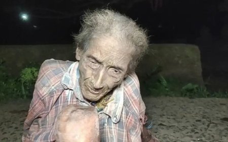 ।। ବୃଦ୍ଧା ମା' ଖୋଜୁଛି ମମତାର ମୂଲ: ଚାରୋଟି ପୁଅ ଥାଇ ବି ଅଲୋଡ଼ା ।।