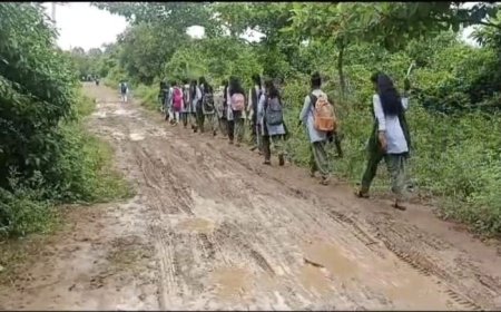 ।। ରାସ୍ତା ପାଲଟିଛି ମରଣଯନ୍ତା:ପଡୁନି ପ୍ରଶାସନର ଦୃଷ୍ଟି ଆକର୍ଷଣ ।।