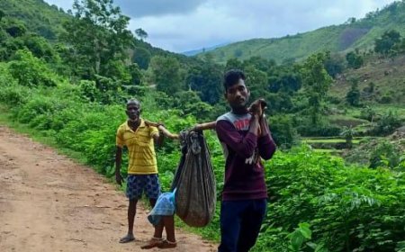 ।।  ବାରମ୍ବାର ସାମ୍ମାକୁ ଆସୁଛି ଗର୍ଭବତୀ ଙ୍କୁ ଭାରରେ ବୁହା ଘଟଣା ।।