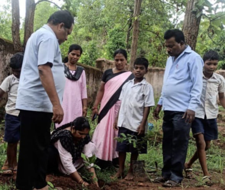 ।। ମିଡିଆକିଆର ନୁଆସାହି ବିଦ୍ୟାଳୟରେ ୭୪ ତମ ବନ ମହୋତ୍ସବ ପାଳିତ ।।
