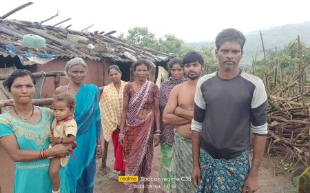 ।। ପଲିଥିନରେ ବିତୁଛି ପାଞ୍ଚ ପରିବାର ଜୀବନ ।।