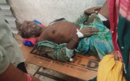 ।। ହାତୀ ଆକ୍ରମଣରେ  ଜଣେ ଗୁରୁତର ।।