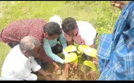 ।। ଲକ୍ଷେ ଗଣ୍ଡା  ସମାଜ ତରଫରୁ ,ବୃକ୍ଷ ରପୋଣ କାର୍ଯ୍ୟକ୍ରମ ଅନୁଷ୍ଠିତ ।।