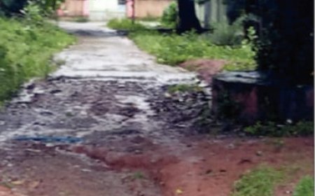 ।। ବାଲିଗୁଡାର ଟ୍ରେଜେରି କଲୋନୀ ରାସ୍ତା ଅବସ୍ଥା ଶୋଚନୀୟ  ।।