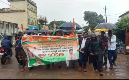 ।।  ବ୍ଲକରେ ହେଉଥିବା ଦୁର୍ନୀତିକୁ ବନ୍ଦ କରିବା ନେଇ କଂଗ୍ରେସ ଦଳ ପକ୍ଷରୁ ଦାବି ।।