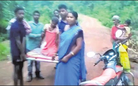 ।। ଗାଁ କୁ ରାସ୍ତା ନାହିଁ, ଦୋଳାରେ ମେଡିକାଲ ଗଲେ ଗର୍ଭବତୀ ।।