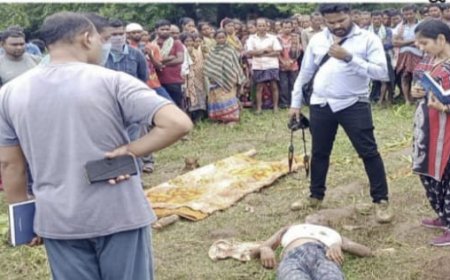 ।। ଗୋରୁ ମକା ଚାଷ ଖାଇ ଦେବାରୁ ଗାଈ ଚରାଳିଙ୍କୁ ଗୁଳି କରି ହତ୍ୟା : ଜଙ୍ଗଲରୁ ମୃତ ଦେହ ଉଦ୍ଧାର: ଅଭିଯୁକ୍ତ ଗିରଫ  ।।