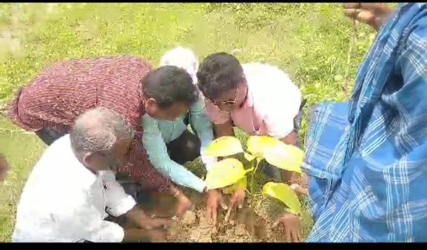 ।। ଲକ୍ଷେ ଗଣ୍ଡା ସମାଜ ତରଫରୁ ,ବୃକ୍ଷ ରପୋଣ କାର୍ଯ୍ୟକ୍ରମ ଅନୁଷ୍ଠିତ ।।