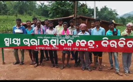 ।। 14ଜଣ ଚାରା ଜଗୁଆଳି ଙ୍କୁ କେବେ ମିଳିବ ଛଅ ମାସର ପାଉଣା ।।