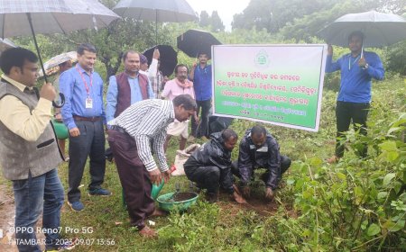 ସେମିଳିଗୁଡା ପରିସରରେ ଲୋକ ପ୍ରତିନିଧି ମାନଙ୍କ କରକମଳରେ ବୃକ୍ଷ୍ୟ ରୋପଣ କାର୍ଯ୍ୟକ୍ରମ ଆରମ୍ଭ