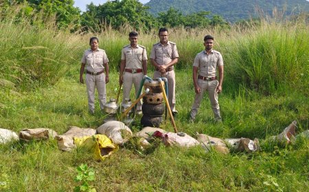 ।। ସବୁ ଖେଲ ବିଗାଡି ଦେଲା, ଅବକାରୀ ବିଭାଗ ।।