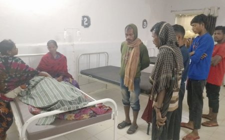 ।। ସାପକାମୁଡା ରେ ମହିଲାଙ୍କ ମୃତ୍ୟୁ ।।