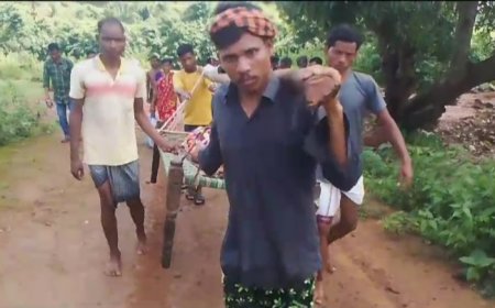 ।।  ବାରମ୍ବାର ଖଟିଆରେ ବୁହାହେଲା ରାଣୀପଦର ଝାଡା ବାନ୍ତି ରୋଗୀ ।।