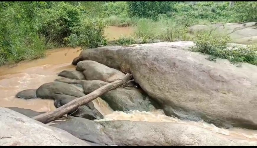 ।।ଉପାନ୍ତ ଅଞ୍ଚଳରେ ଫେଲ୍ ମାରିଛି ଯୋଜନା ବଲାଙ୍ଗୀର ଜିଲ୍ଲା ତୁରେକେଲା ବ୍ଲକ ରେ ।।