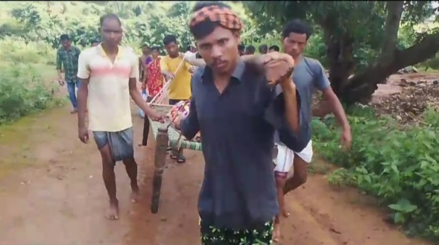 ।। ବାରମ୍ବାର ଖଟିଆରେ ବୁହାହେଲା ରାଣୀପଦର ଝାଡା ବାନ୍ତି ରୋଗୀ ।।