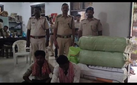 ।। ଅବକାରୀ ବିଭାଗ କୁ  ବଡ଼ ସଫଳତା  ୧୫୦ କେଜି ଗଞ୍ଜଇ ସହ , ଦୁଇ ଜଣ ଗିରଫ ।।