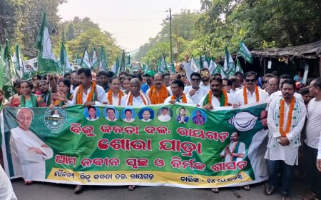 ।। ବିଜେଡି କର୍ମୀ କାର୍ଯ୍ୟାଳୟ ର ପ୍ରଥମ ବାର୍ଷିକ ଉତ୍ସବ ରେ 15 ହଜାର ରୁ ଉର୍ଦ୍ଧ ଜନତାଙ୍କ ସମାବେଶ ।।