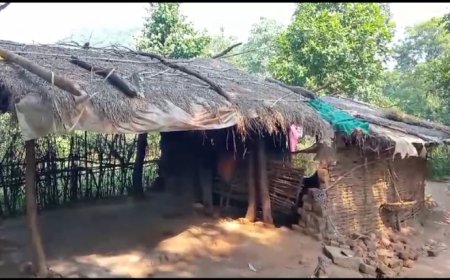 ।। ସରକାରୀ ଯୋଜନାରୁ ବଞ୍ଚିତ ଅଛନ୍ତି ବରିହାପଡାବାସୀ l।